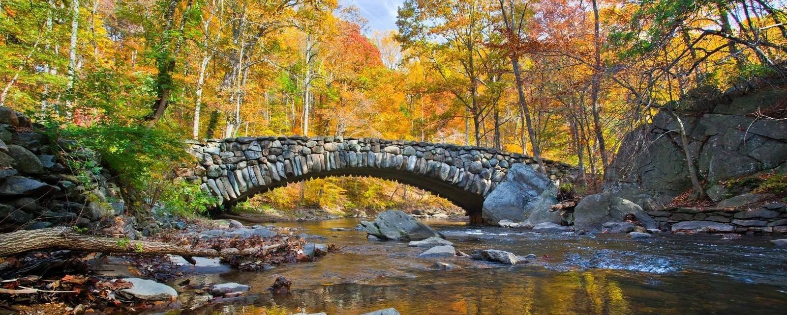 Homes Near Rock Creek Park